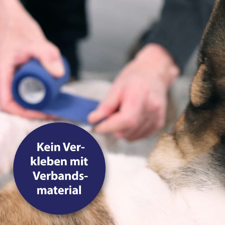 Canosept Wundgel für Hunde 20 ml